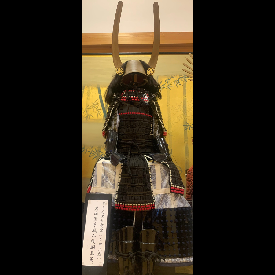 Shogun armor 3